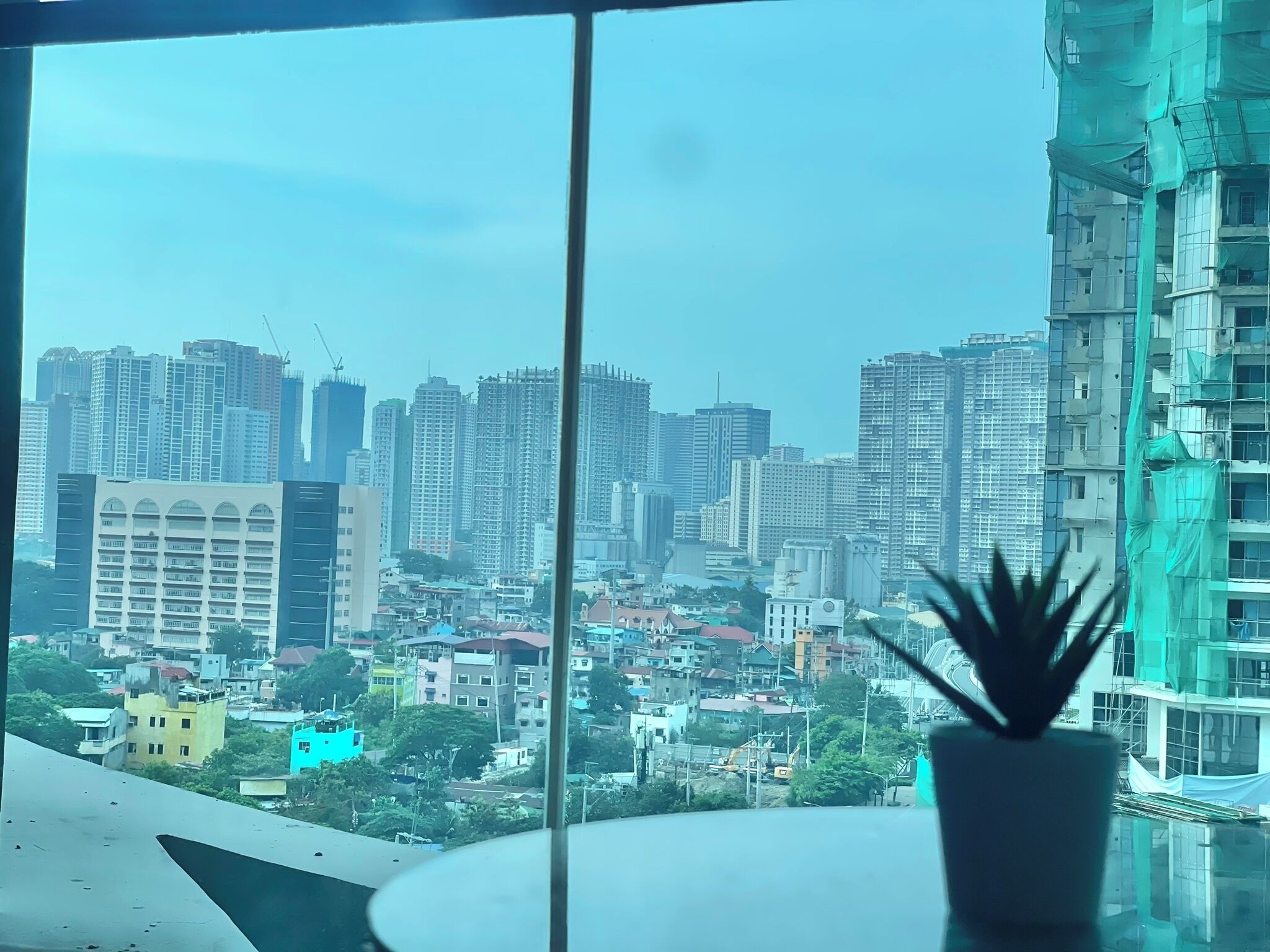A cityscape through a window with a potted plant in the foreground.