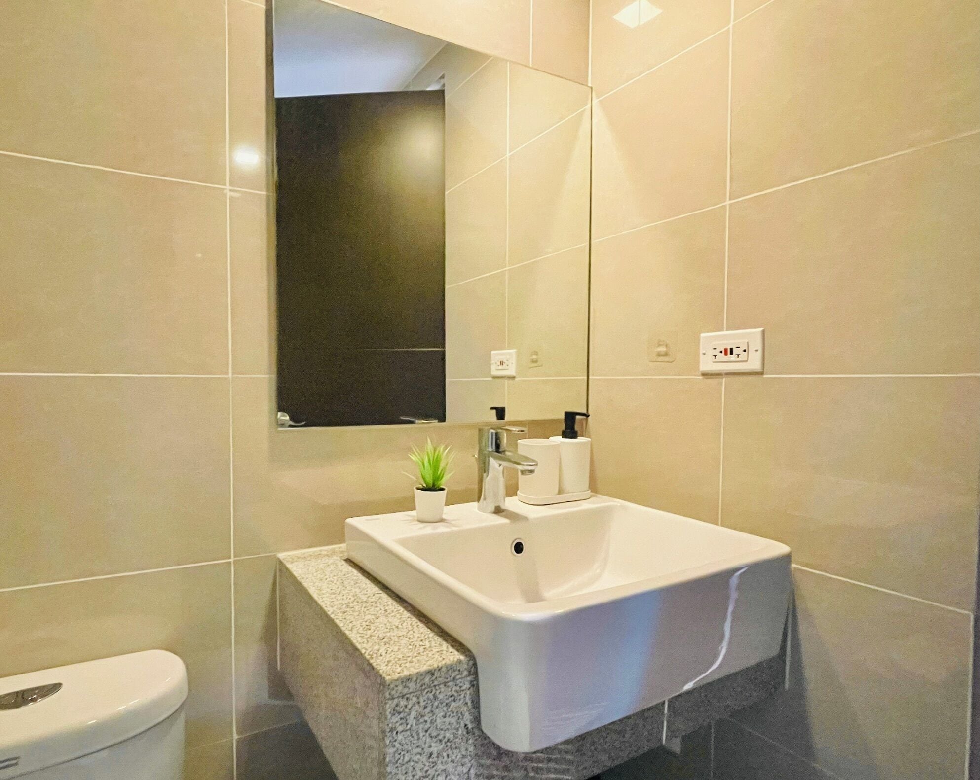 A modern bathroom with a white sink, a small potted plant, a mirror, and a toilet.