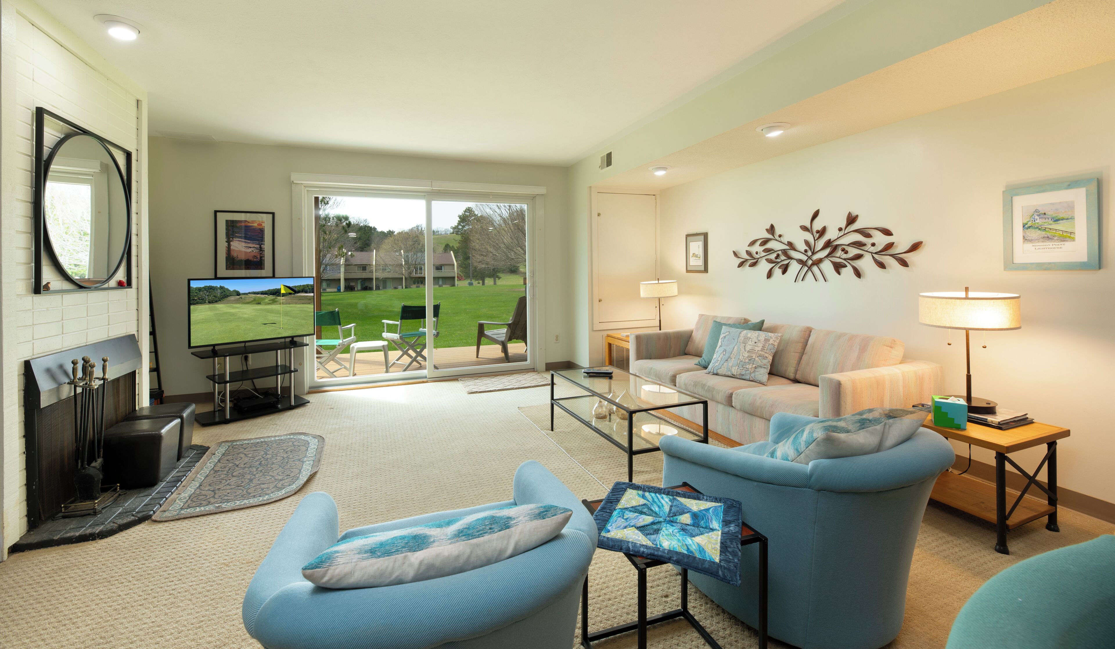 TV, fireplace, books