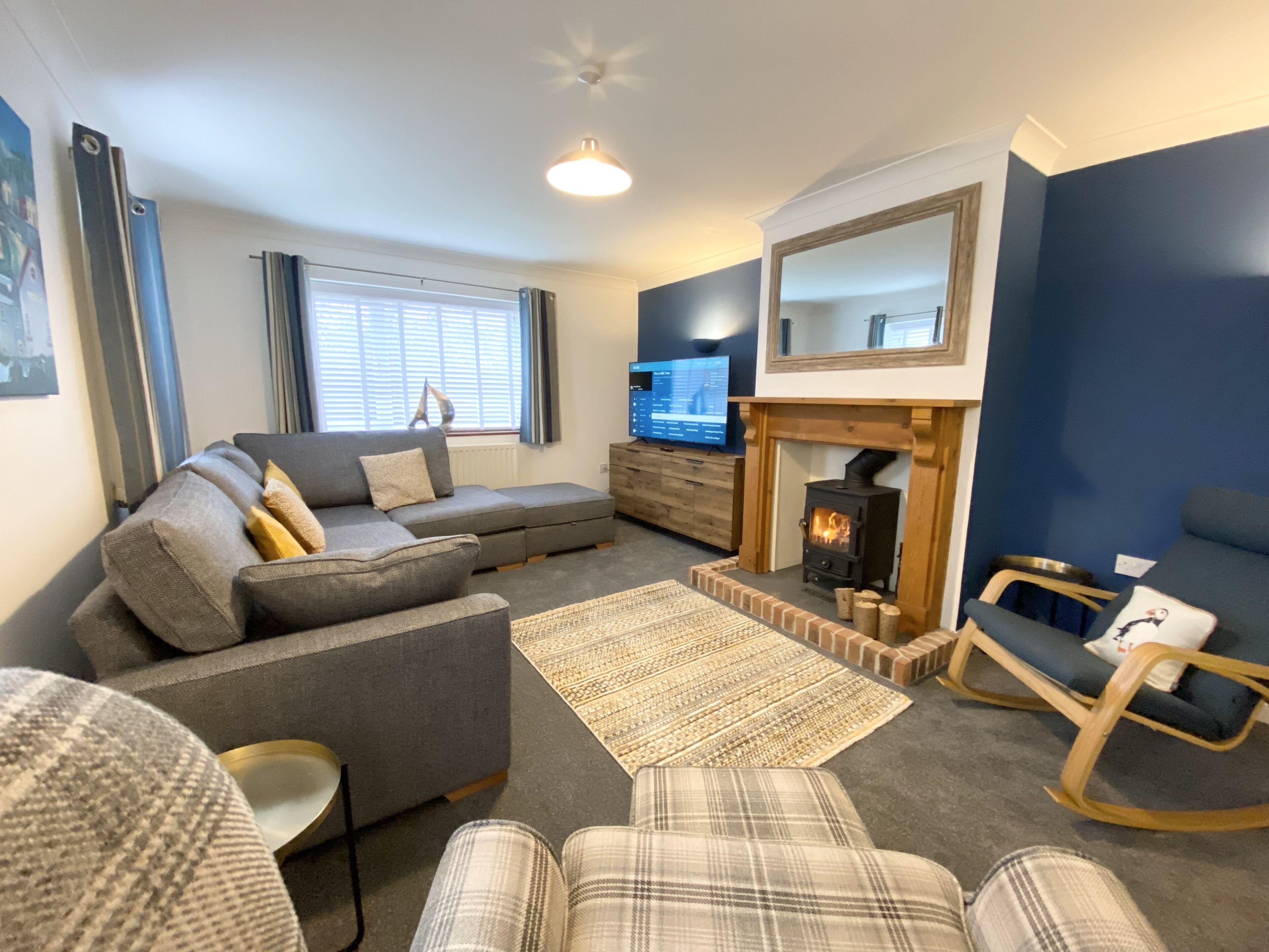 Smart TV, fireplace, books