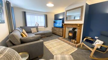 Smart TV, fireplace, books