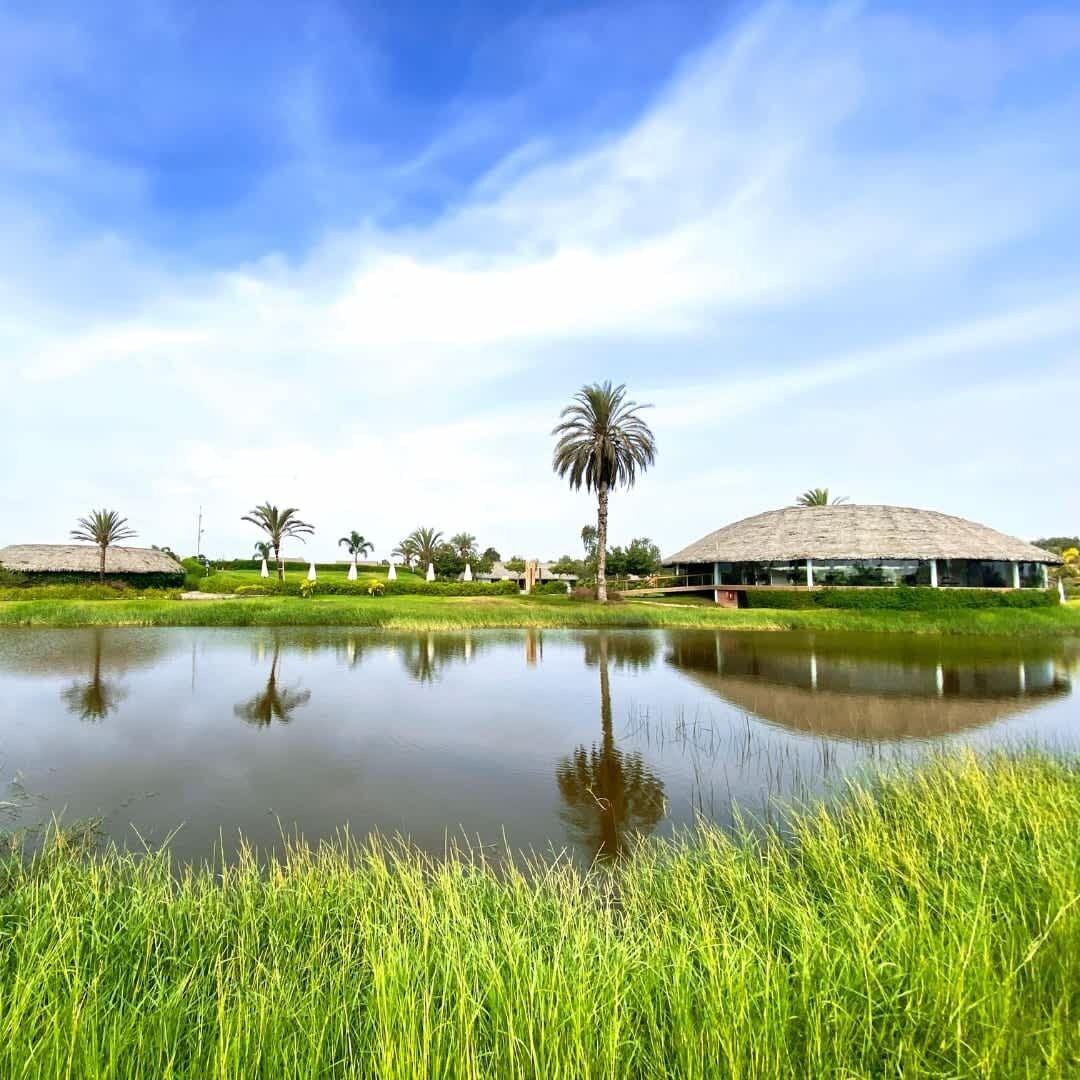 A serene landscape with a pond reflecting structures and palm trees, surrounded by lush greenery.