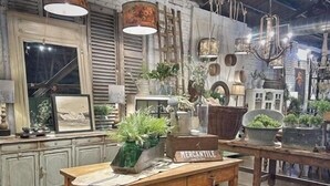 Un intérieur rustique avec des meubles en bois, une décoration de style vintage et diverses plantes.
