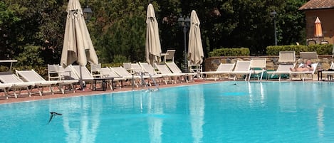 Seasonal outdoor pool, pool umbrellas, pool loungers