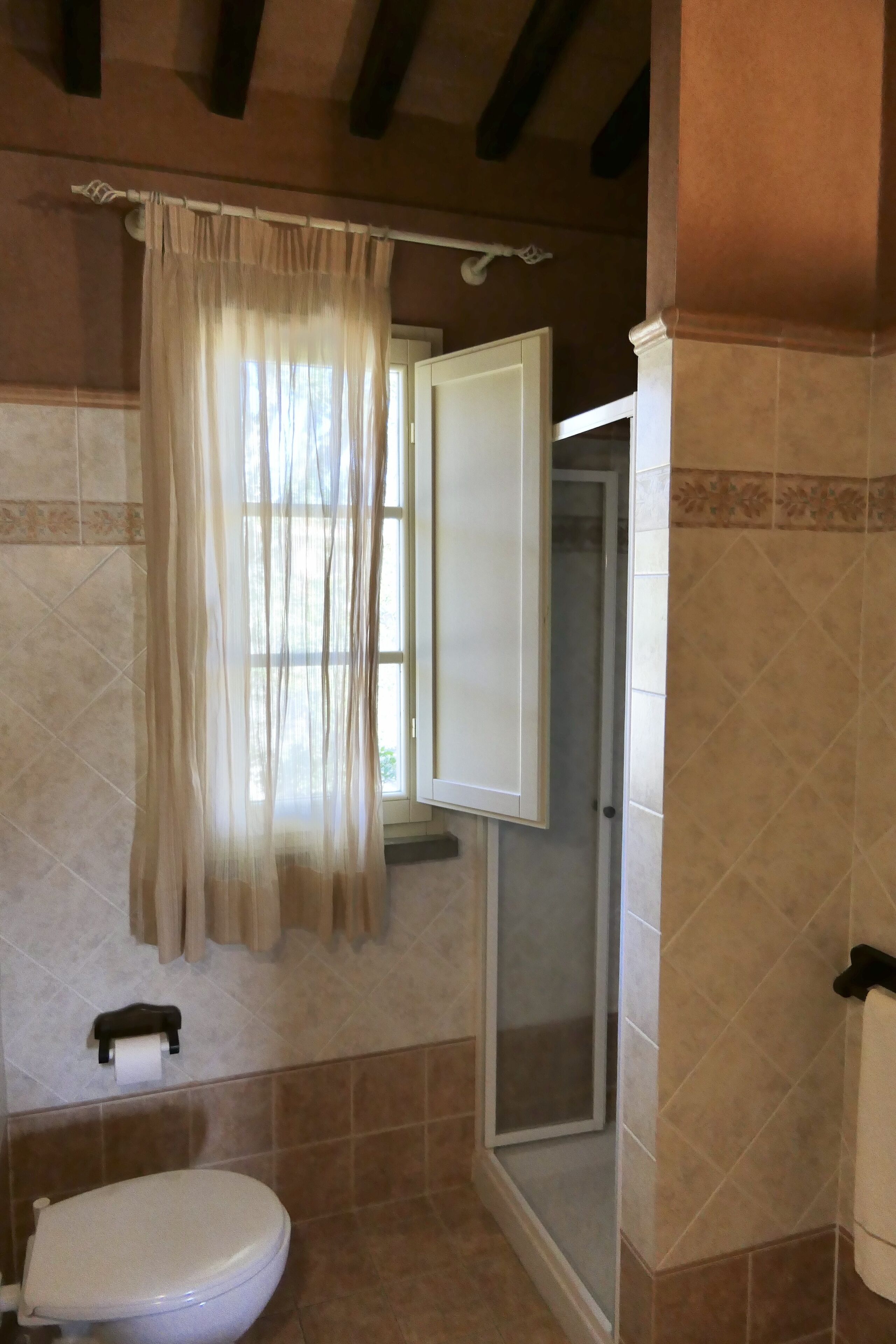 Een badkamer met toilet, douche en een douchegordijn.
