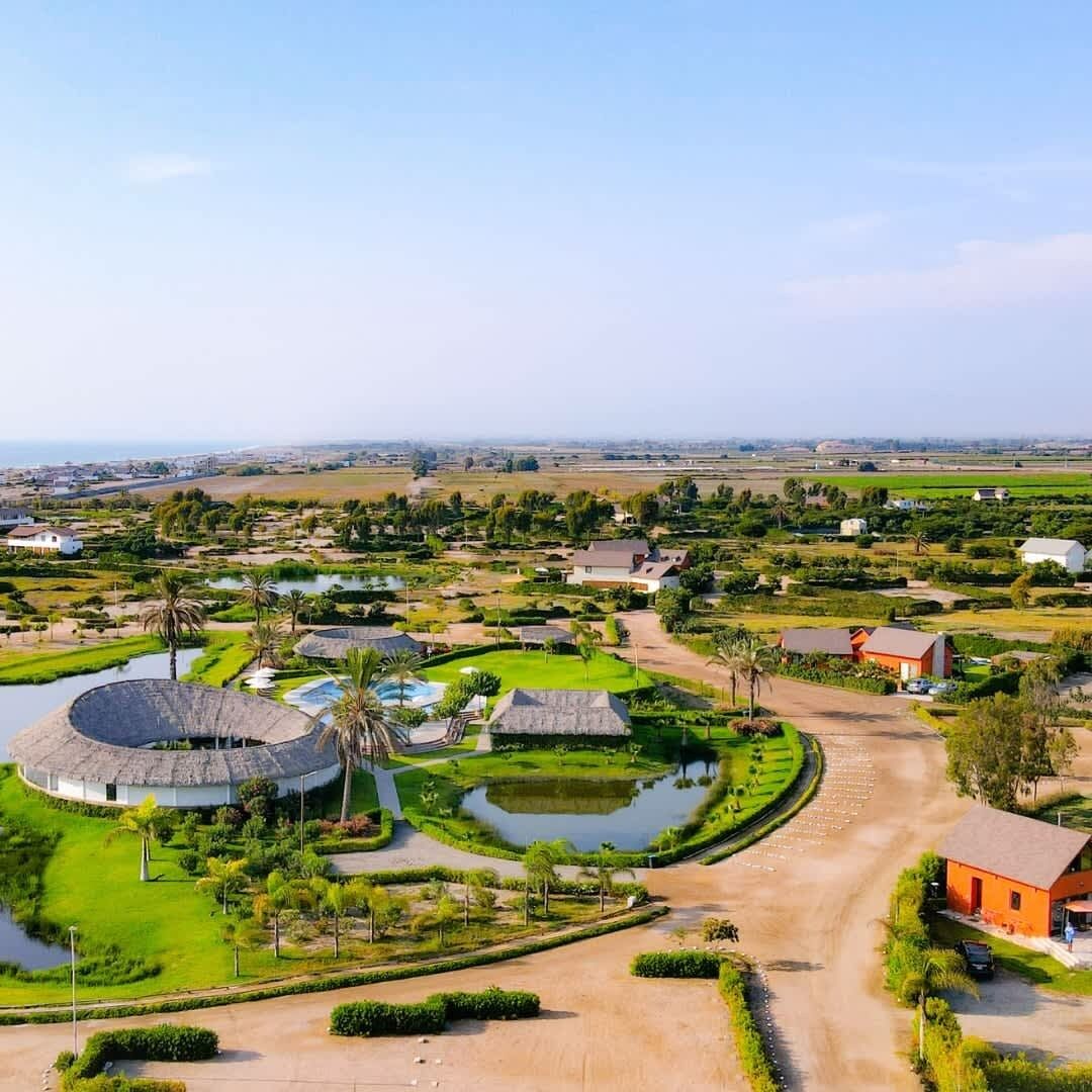 A rural landscape with a circular building surrounded by a pond, palm trees, and a dirt road.