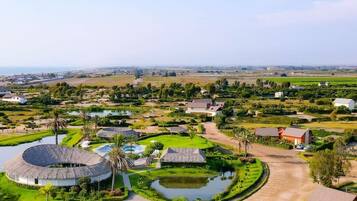 A rural landscape with a circular building surrounded by a pond, palm trees, and a dirt road.