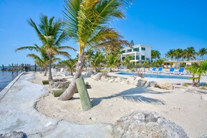 Pool - Ocean Panorama w private pool, huge yard, fire pit, kayaks, SUPs (Marathon)