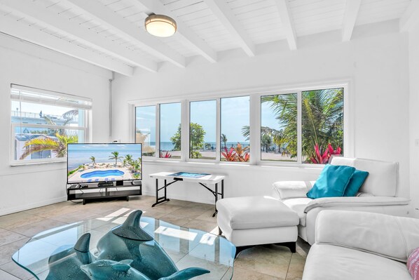 Smart TV, fireplace, books, music library