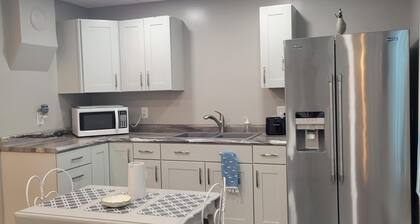 Warm northwoods beach-style apartment walking distance to OreBeGone & Mesabi Trl