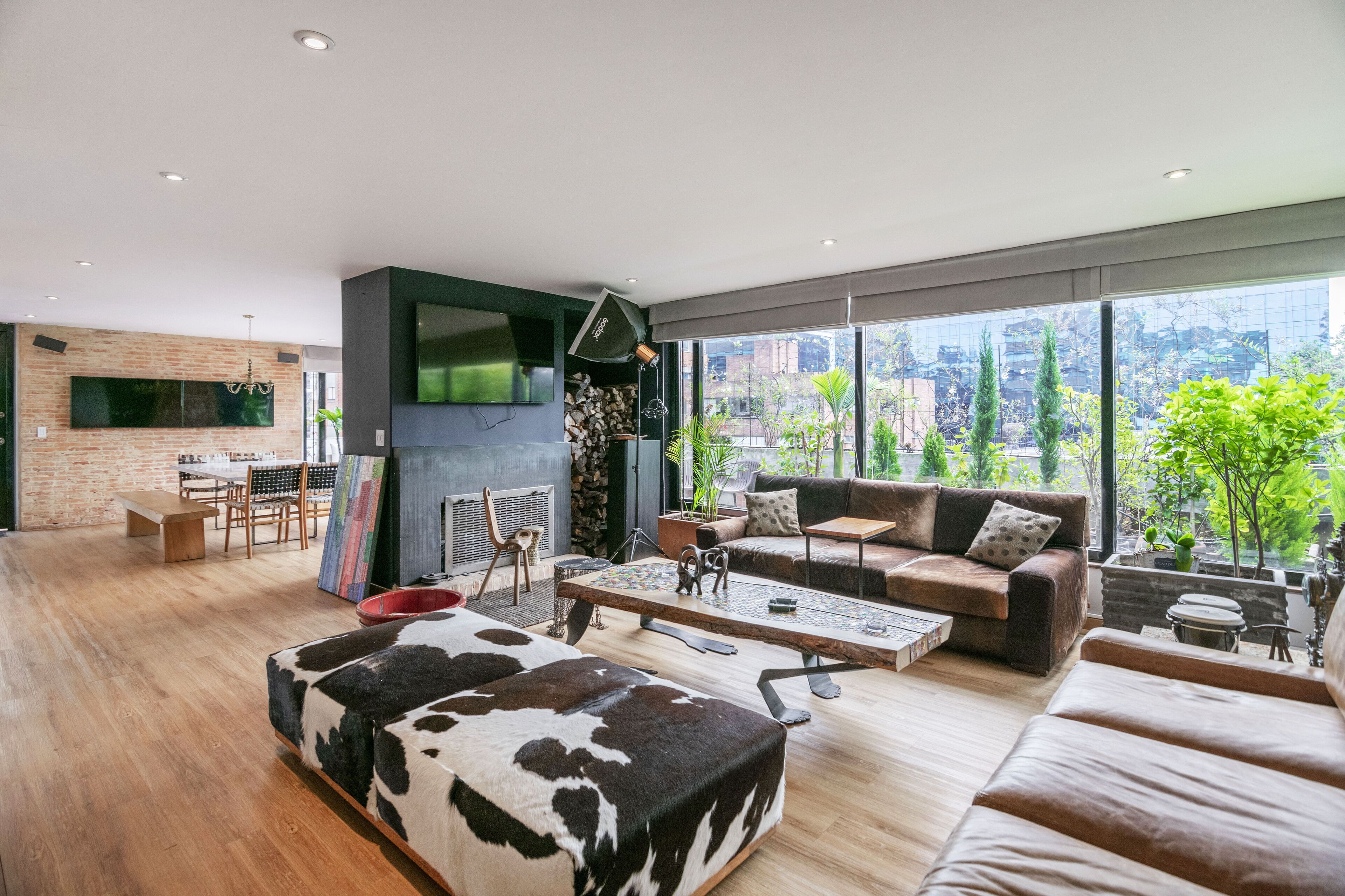 TV connectée, cheminée, livres, médiathèque