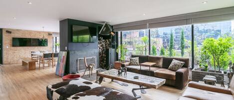 TV connectée, cheminée, livres, médiathèque