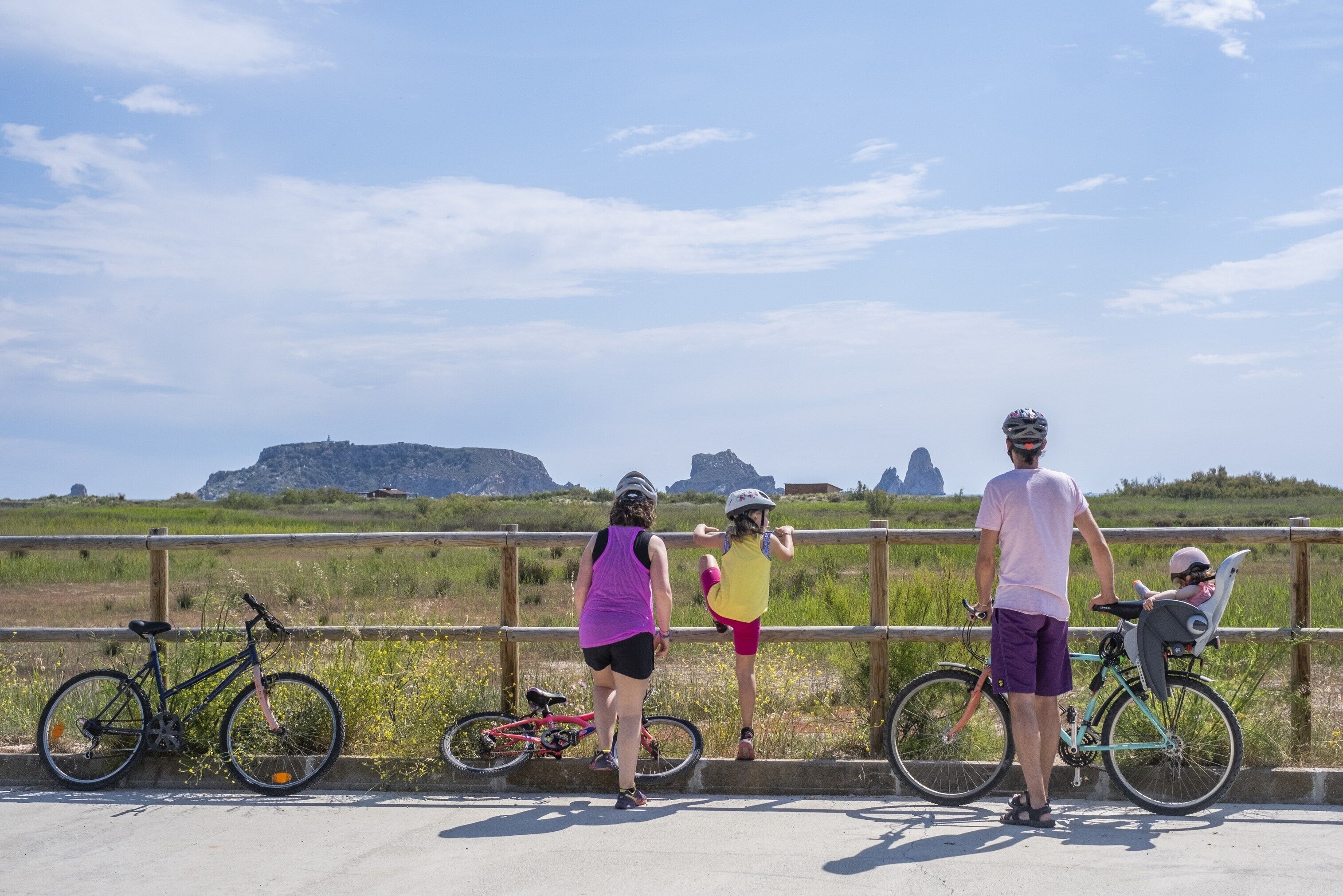 A group of people standing by a railing overlooking a scenic landscape with mountains in the distance.