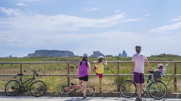 Un grupo de personas de pie junto a una barandilla con vistas a un paisaje pintoresco con montañas a lo lejos.