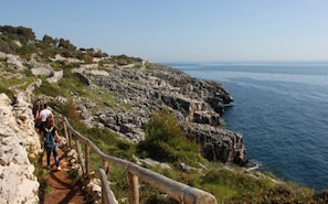 A rocky coastal path with a wooden railing, leading to a cliff overlooking the sea.
