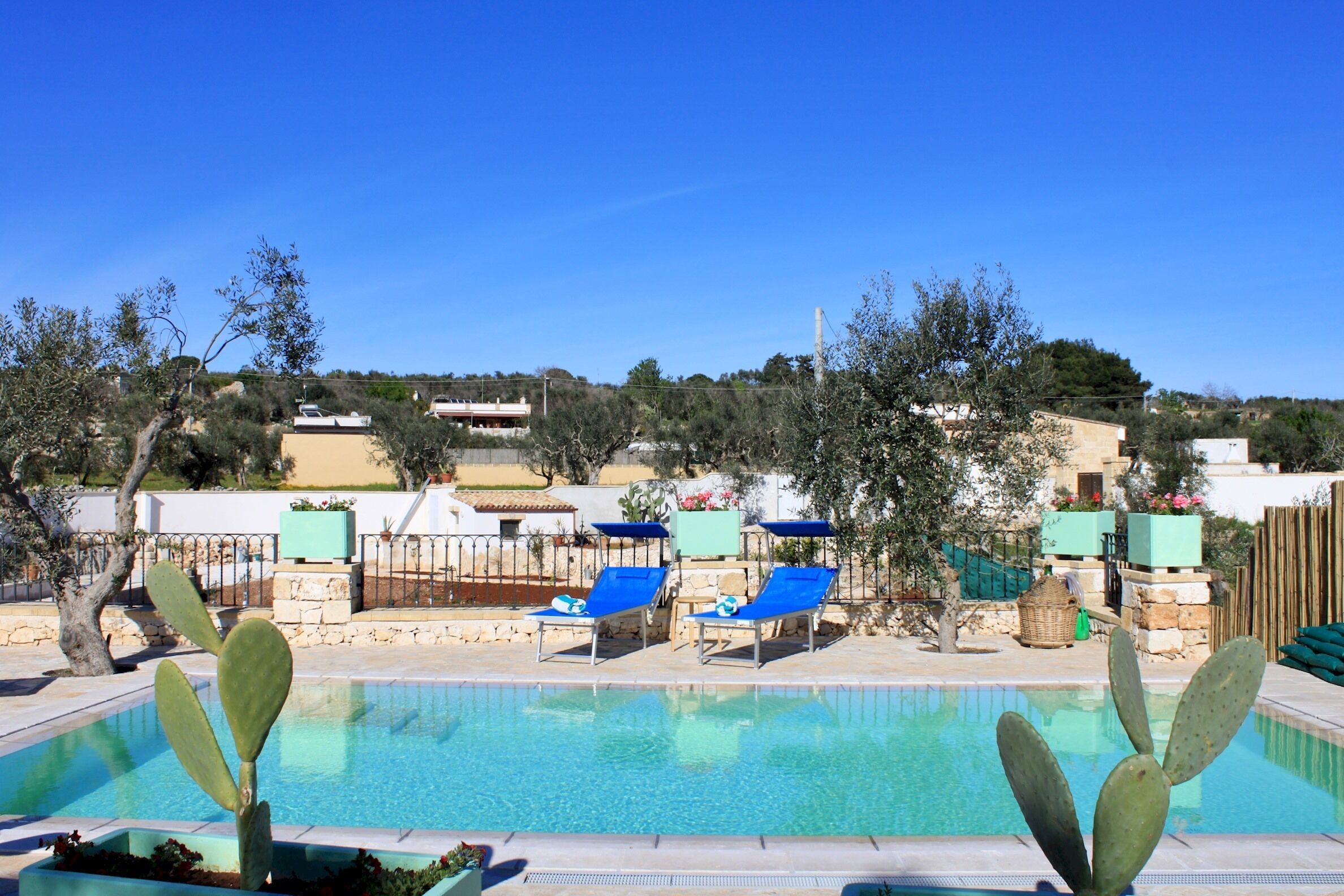 A pool area with clear blue water, two blue lounge chairs, and a cactus plant in the foreground.