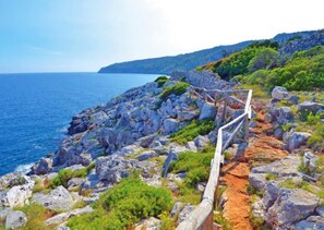 Apartment | 1 Schlafzimmer