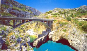 Apartment | 1 Schlafzimmer