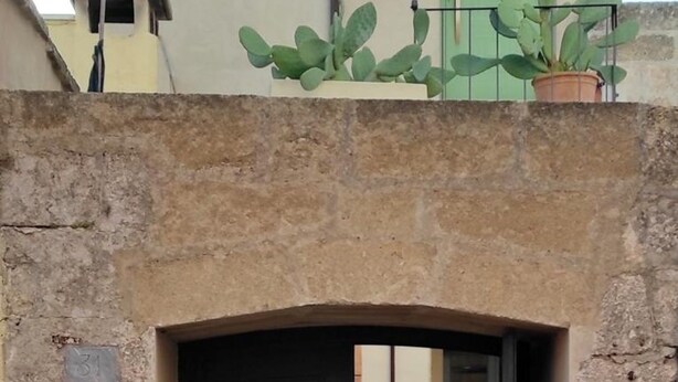 A building with a flat roof, a green door, and a small balcony with potted plants.