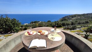 A table with food, a wine bottle, and an open book, overlooking a coastal landscape.