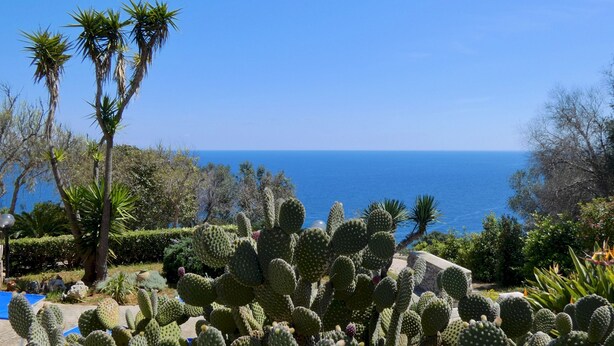 A garden with cacti and palm trees, overlooking a clear blue sea.