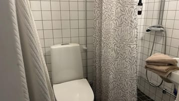 Apartment | Bathroom | Shower, hair dryer, towels