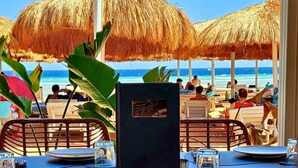 A beachside restaurant with thatched umbrellas, dining tables, and chairs, overlooking the ocean. - Panoramic Romantic apartment  (South Sinai Governorate)