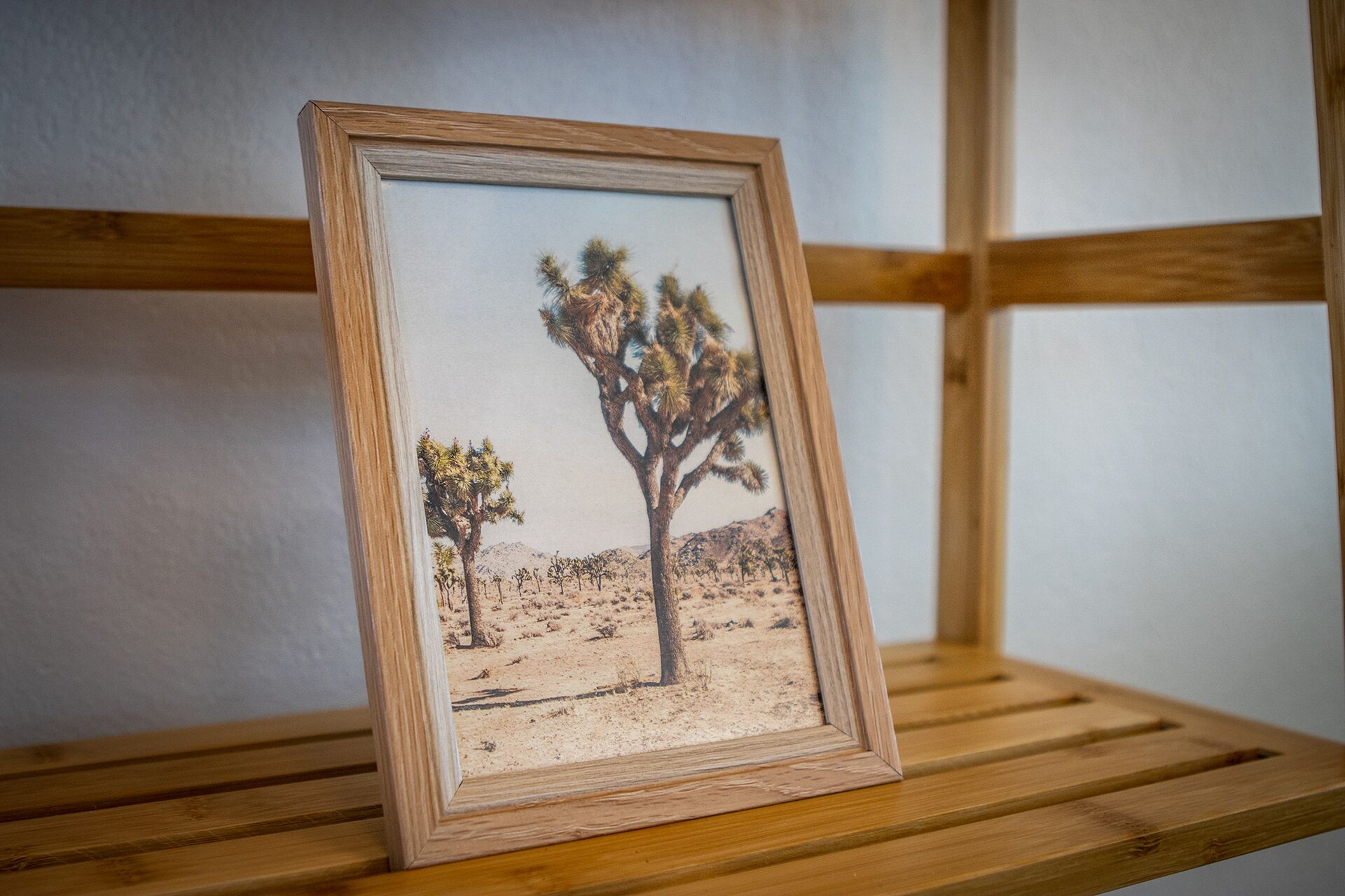 Un cuadro enmarco muestra un paisaje desértico con un árbol destacado sobre una repisa de madera.