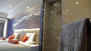 Une chambre d’hôtel avec un lit, des oreillers, une serviette et un espace douche.