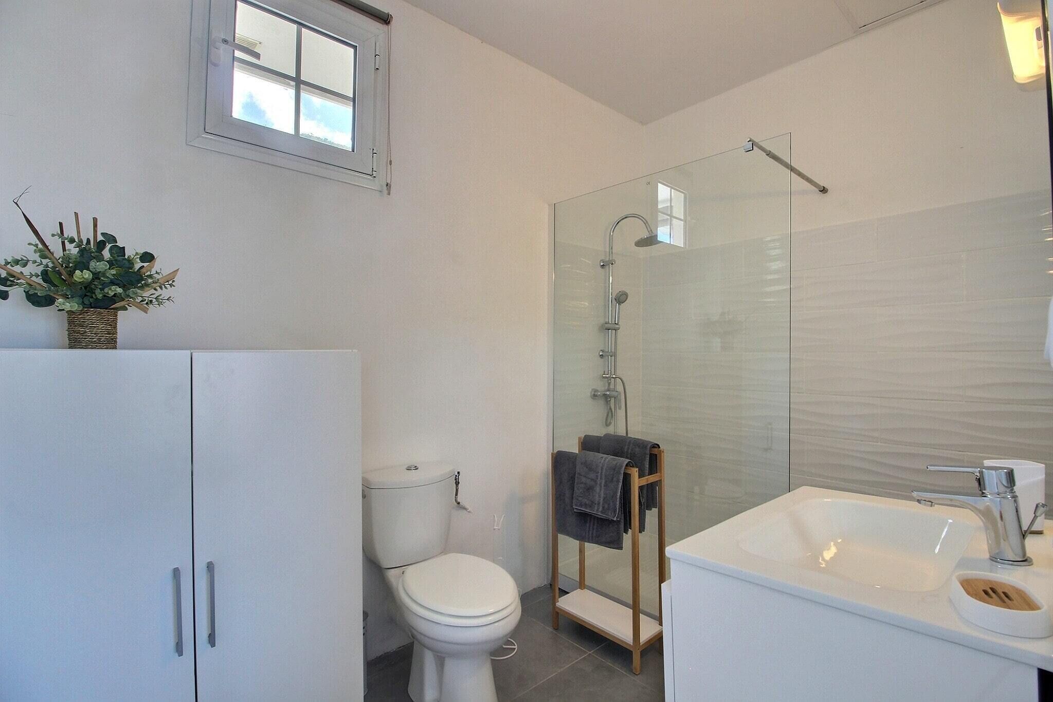 A modern bathroom with a toilet, a glass shower enclosure, a sink with a mirror, and a small plant on the counter.