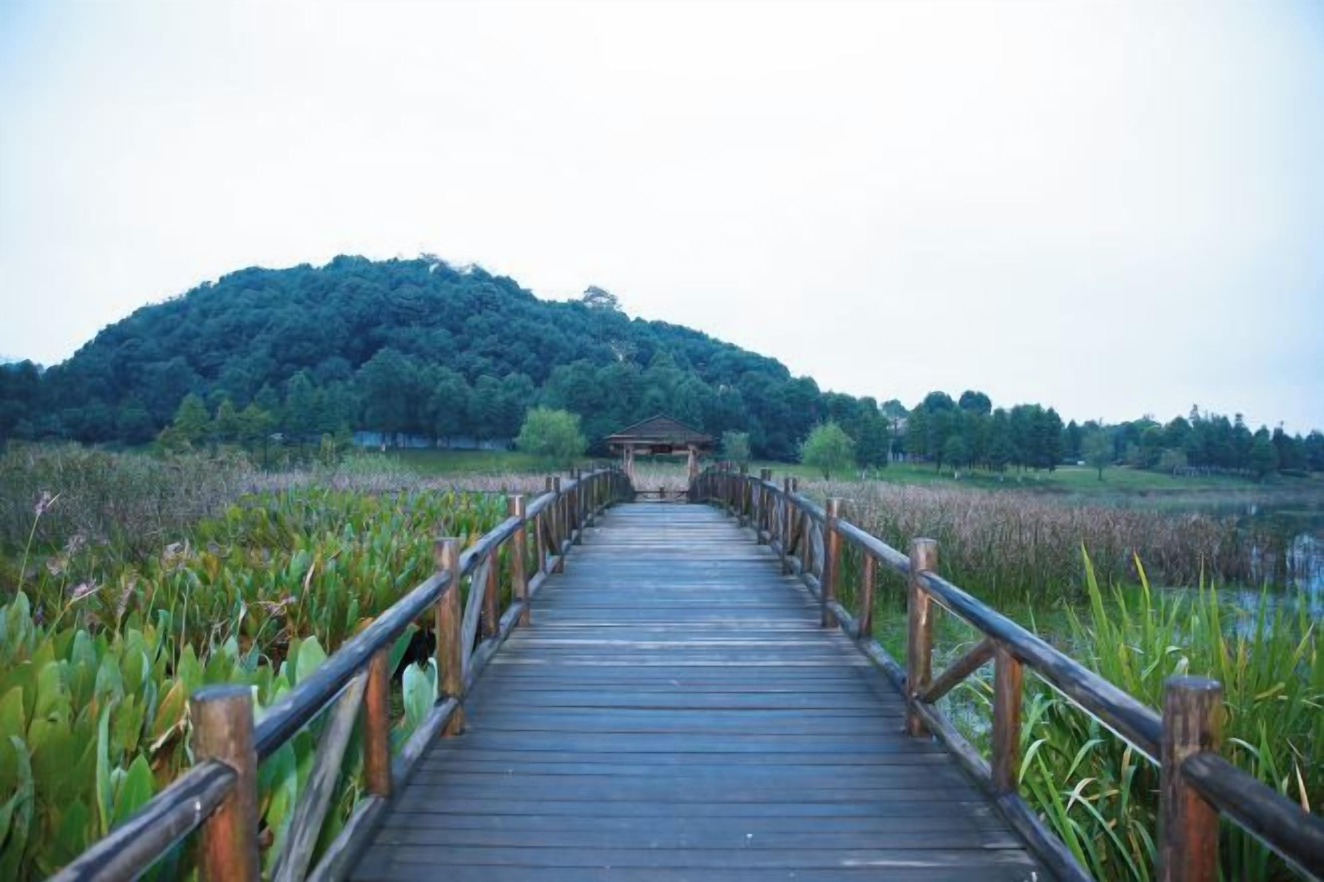 A wooden boardwalk leading to a structure surrounded by lush greenery and a hill in the background.