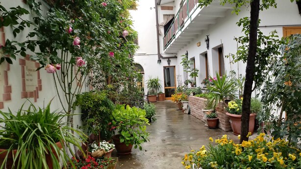A narrow courtyard with potted plants and flowers, a brick wall, and a white building with a balcony. - Albergo Giulia Gonzaga (Sabbioneta)