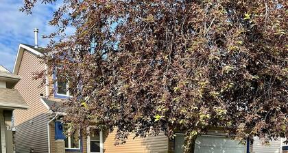 2 BR Walkout loaded with amenities