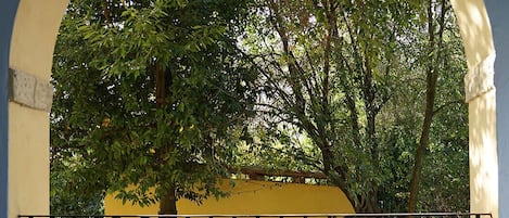Terassi/patio