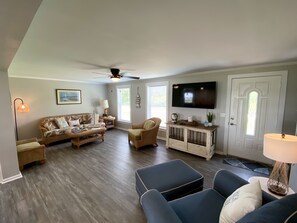 Smart TV, chimenea y libros