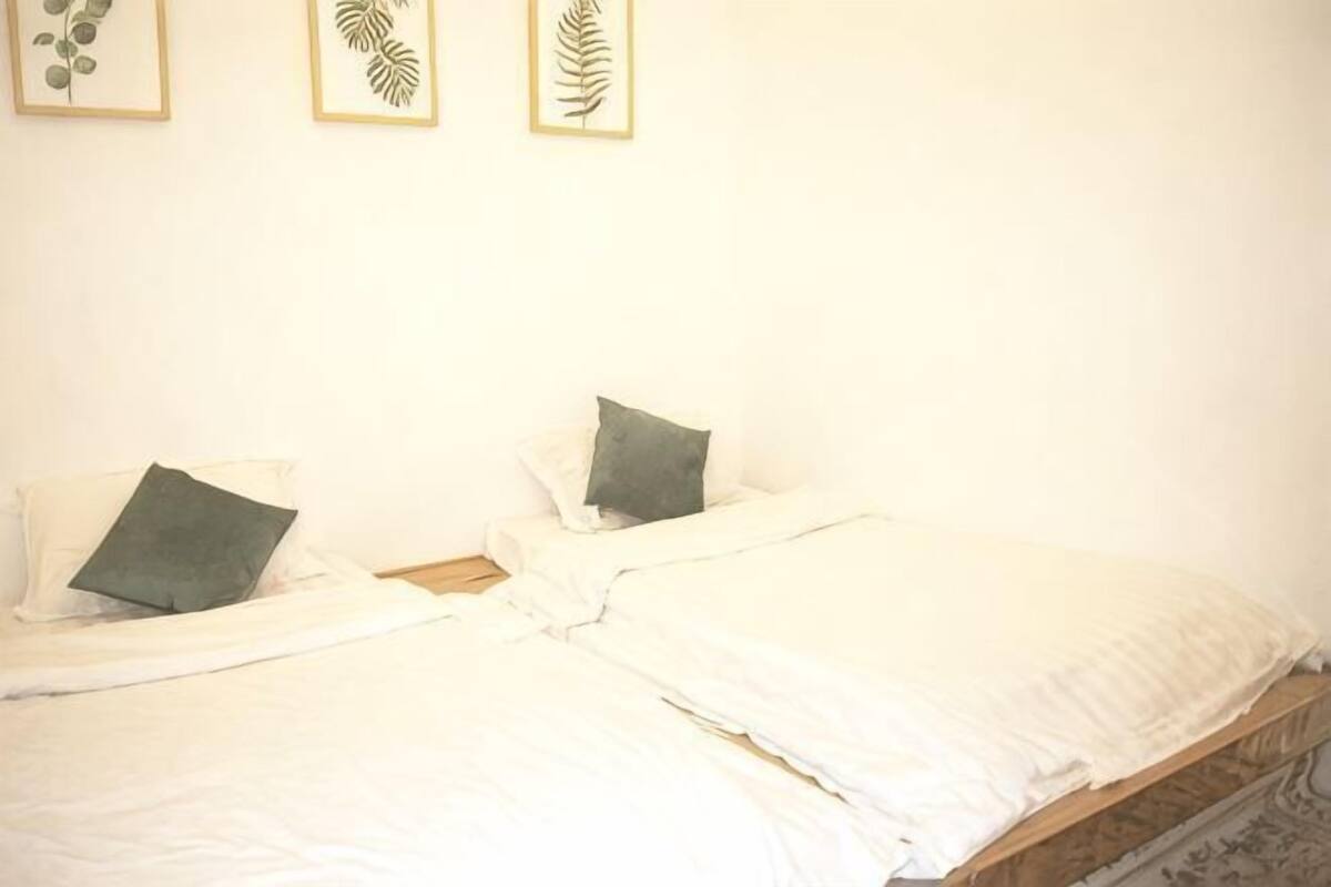 Une chambre avec deux lits, chacun étant agrémenté d’un oreiller et d’un motif décoratif représentant une feuille, encadré et accroché au mur.