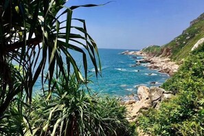 Beach - Mr. Peng Inn (Shenzhen)