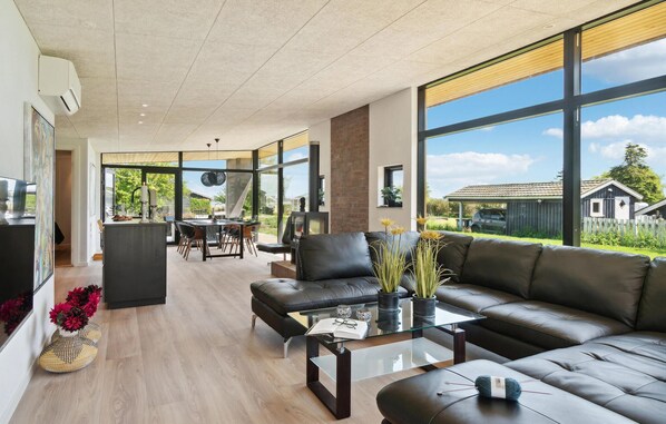 Smart-TV, Kamin