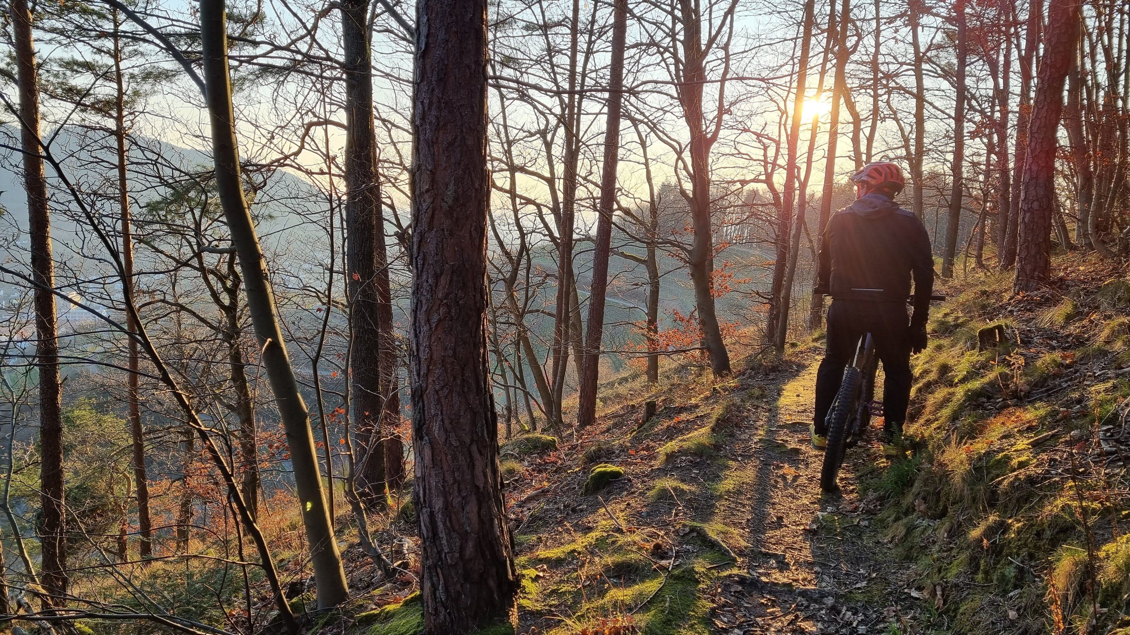 A hiker on a forest trail with a mountainous backdrop.