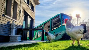A house with a green bus parked in front, a rooster on the grass, and a clear sky. - Exclusive House with old Mountain-Railway (Baden-Baden)