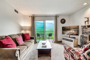 TV, fireplace, DVD player