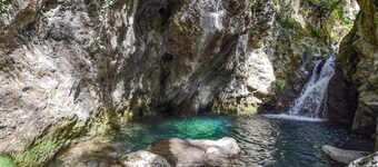 Grazioso appartamento con 1 camera da.