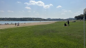 A grassy area with a beach and water in the background. - Fun New Lake House! (Canyon Lake)