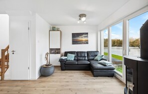 Smart-TV, Kamin