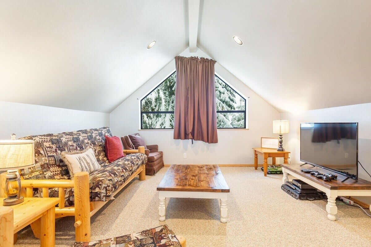 TV, fireplace, video games, DVD player