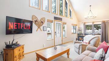 TV, fireplace, video games, DVD player