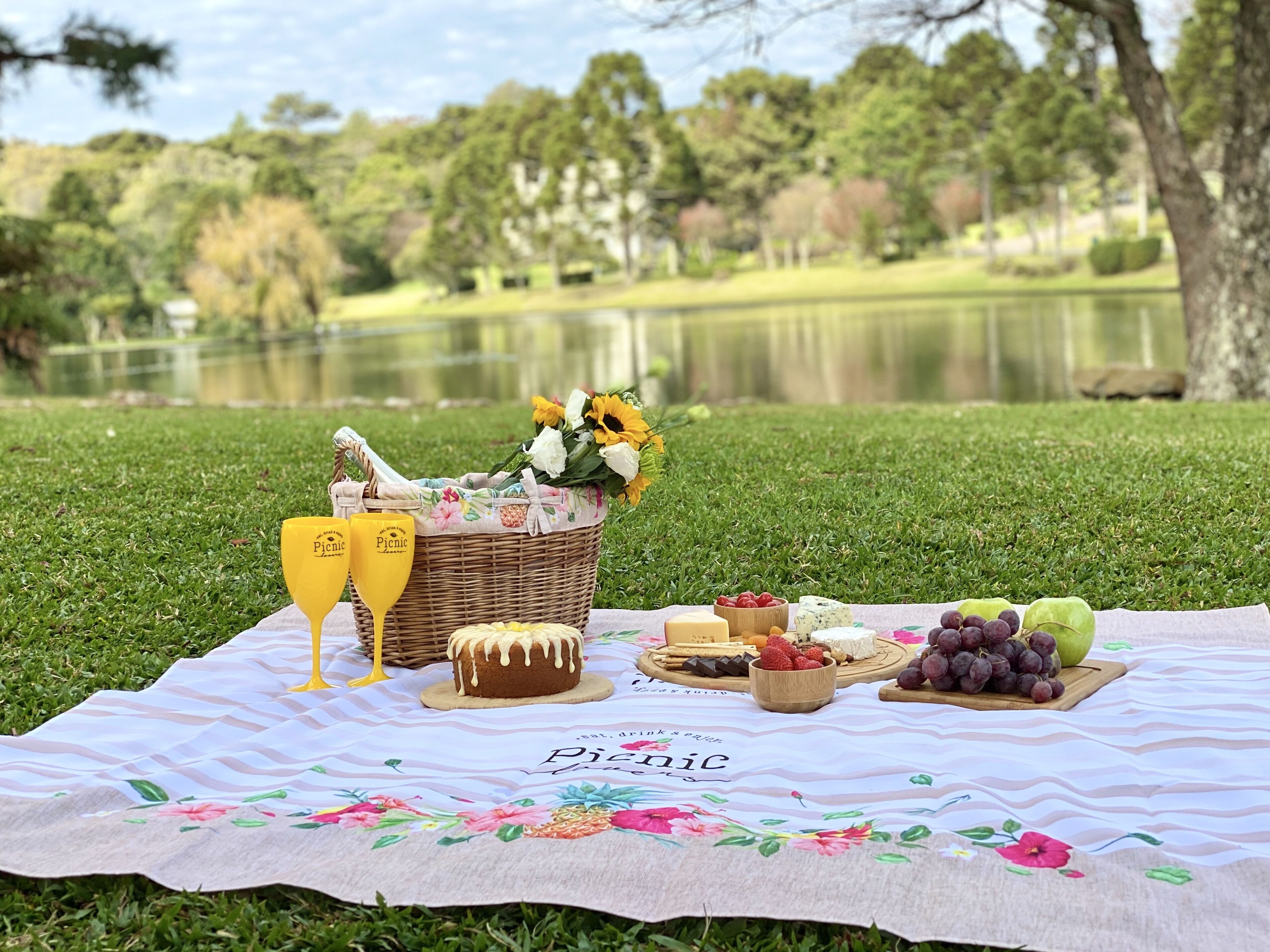 A picnic setup on a grassy area with a lake in the background.