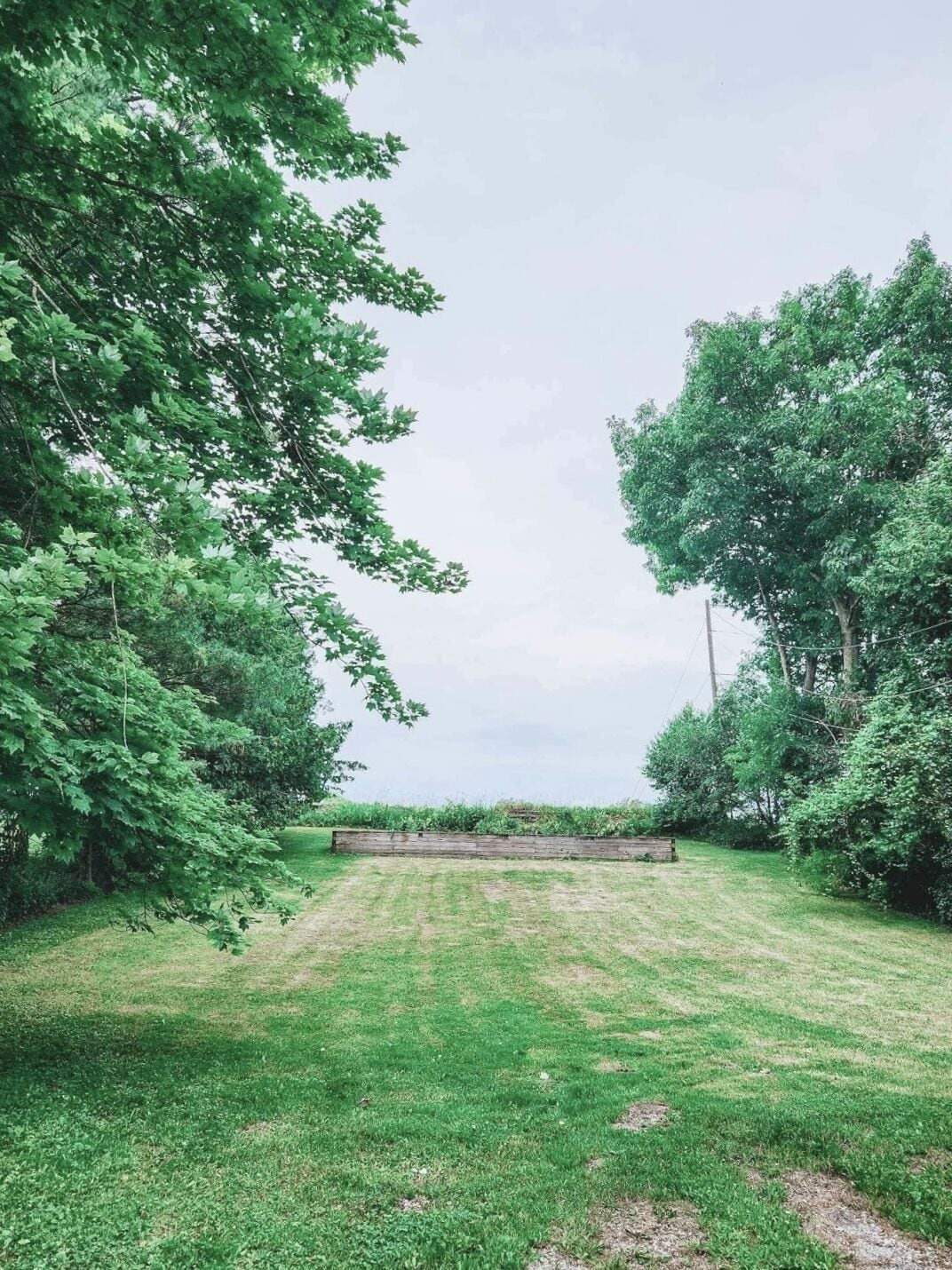 Un espace verdoyant avec un banc en bois et un feuillage dense.
