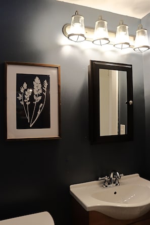 Secadora de cabello, toallas, jabón, shampoo