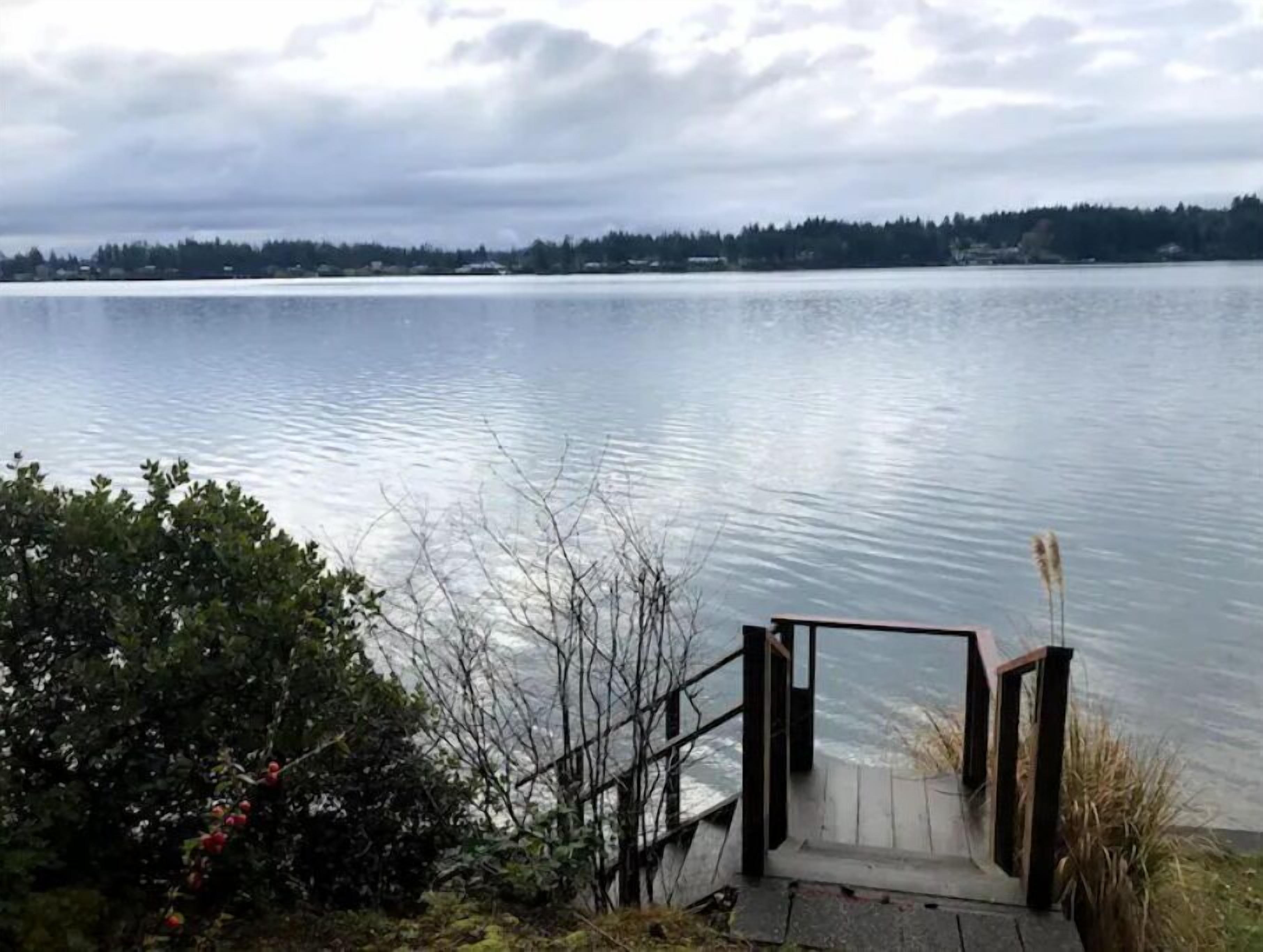 A wooden dock leading to a calm lake with a forested shoreline in the background.